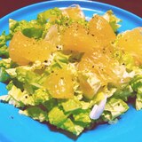 美生柑の白菜サラダ